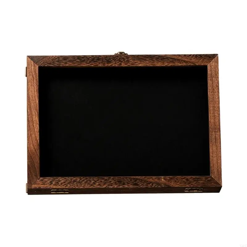 Wooden insect display box with acrylic panel for home study use X3UC