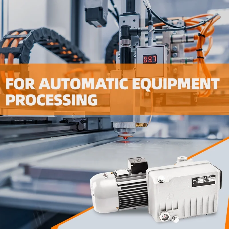 Pompa per vuoto rotativa a palette per lubrificazione a olio piccola Factory XD 20 M3/h per uso industriale