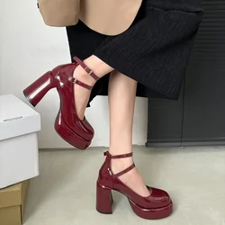 Platform Women Mary Jane Shoes Fashion Elegant Double Buckle Thick Heel Shoes Ladies Dress Pumps Retro 7cm High Heel Party Shoes