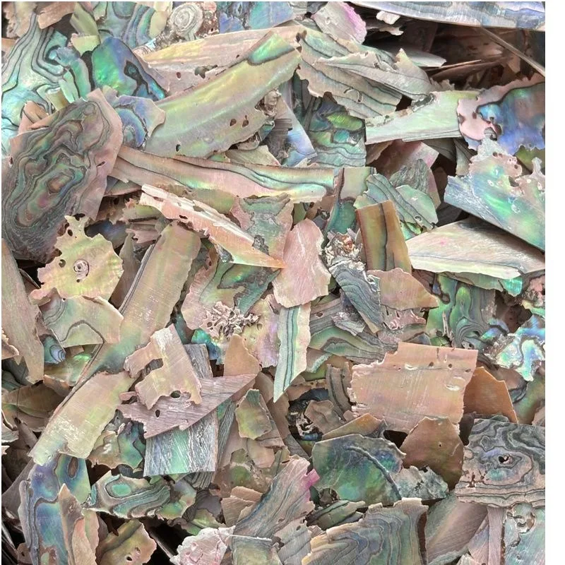 200g/bag New Zealand Abalone Shell Nail Flakes - Colorful Iridescent Fragments for DIY Nail Art & Craft Accessories