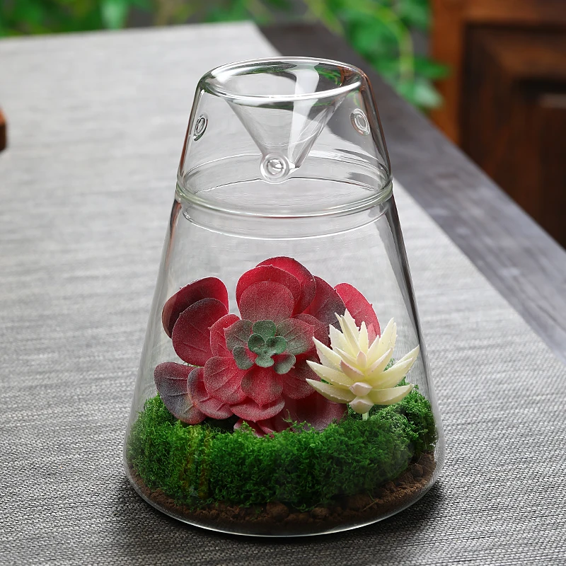 Micro Landscape Moss Bottle Glass with Lid Fresh Green Moss Bottle Terrarium Bonsai Desktop Home Decoration