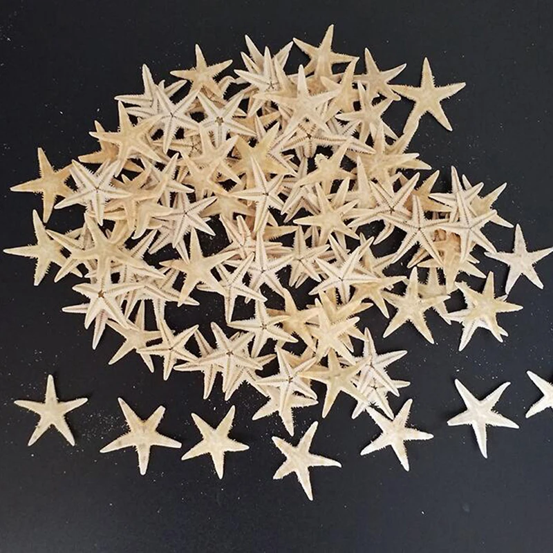 Sea shells size:0.5-3cm 100pcs Mini Starfish Craft Decoration Natural Sea Stars