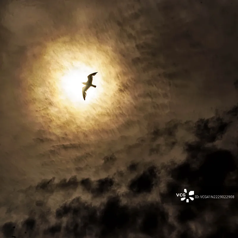 

RunCam Split 4 Split4 4K FPV Camera with FOV 140° Low Latency DC 5-20V Nano HD Recording 16:9/4:3 Shot for RC FPV Racing Drone