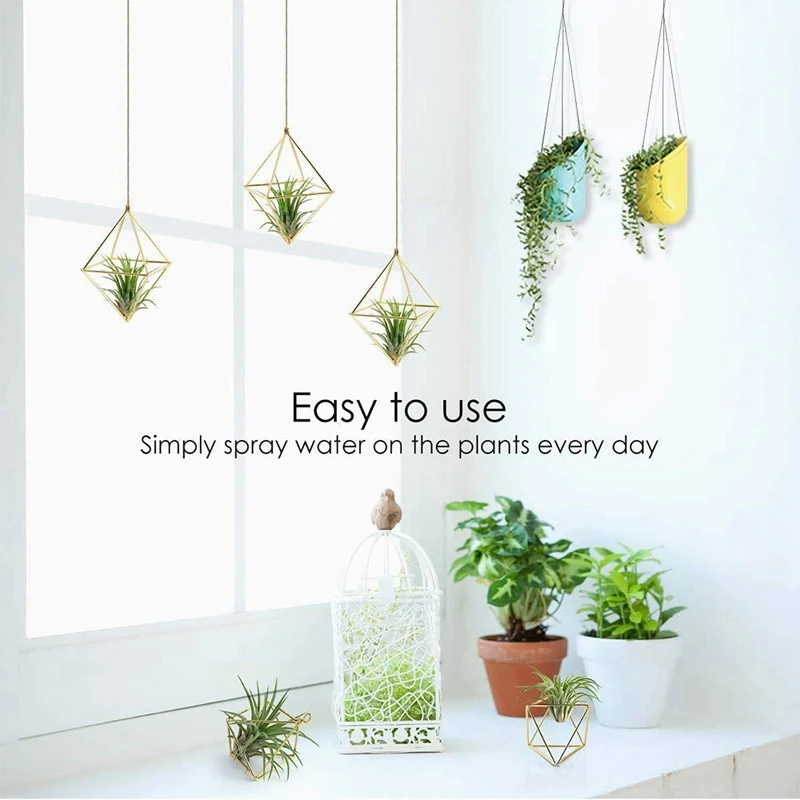 15 Packs Air Plant Holder Mini Metal Tabletop Himmeli Decor Modern Geometric Planter Tillandsia Air Fern Display Stand