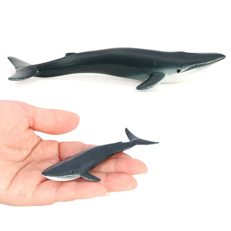 Realistic Sea Life Simulation Animal Model Shark Whale Turtle Crab Dolphin Action Figurine Figures Educational Toys for children