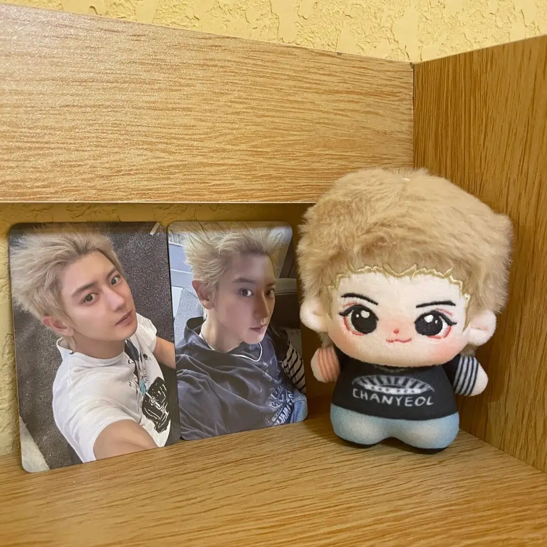 دمية قطنية على شكل نجمة البحر "yebo Park Chanyeol" محيطية مقاس 10 سم، مادة دعم دمية قطيفة رائعة