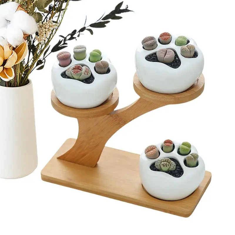 

Cats Claw Succulent Planter Treetop Flower Stand Set Indoor with Drainage Ceramic Succulent Garden Pots for Garden Kitchen Home