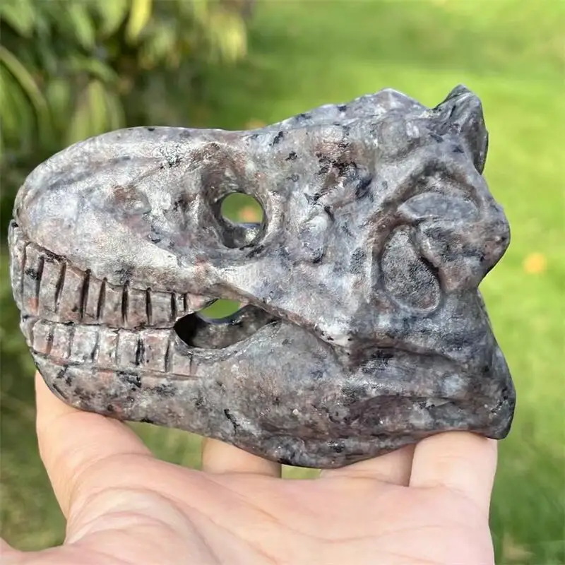 Natural Yooperlite Dinosaur Skull Carving Statue Realistic Feng Shui Healing Reiki Ornament Art Collectible Gift 1PCS 10/15MM