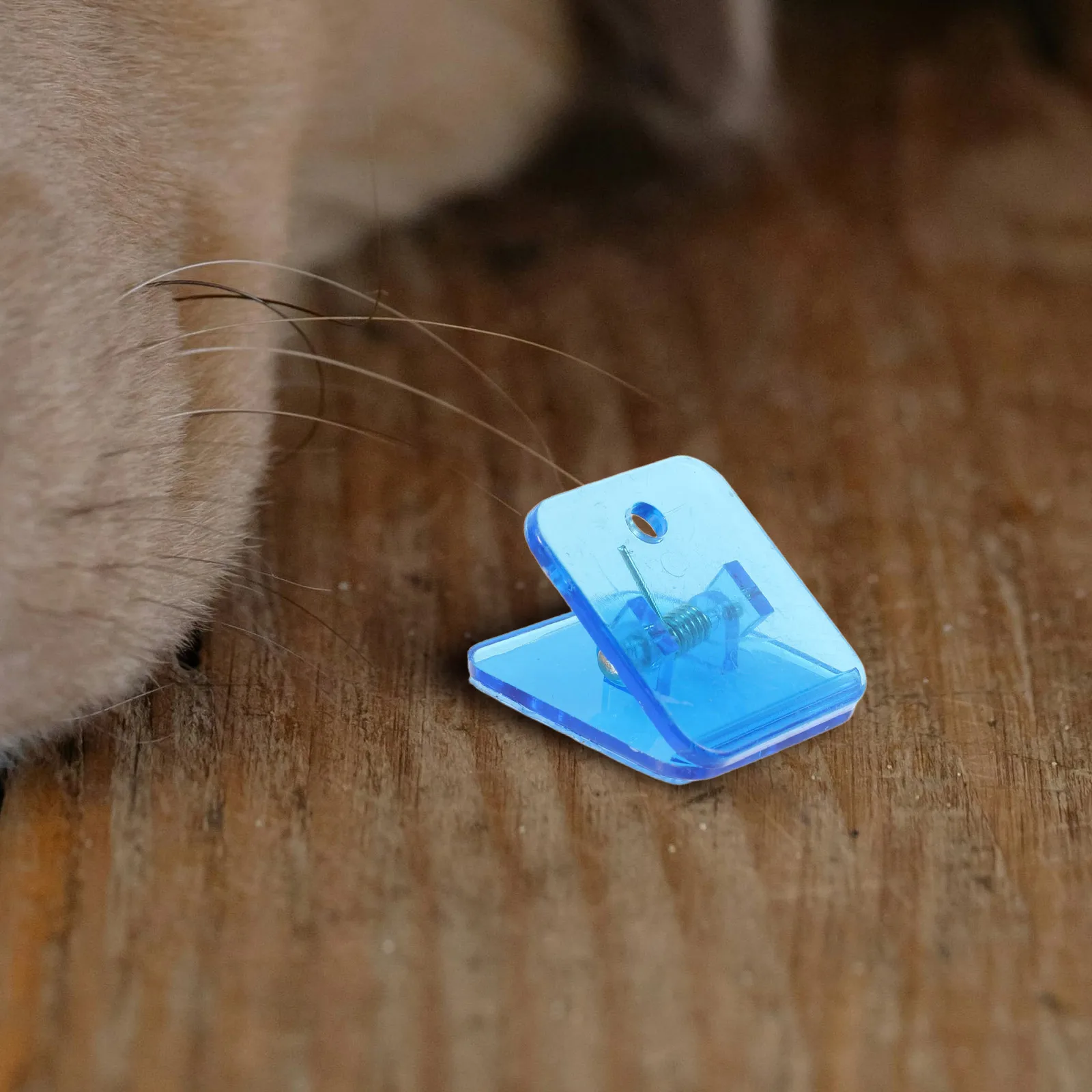 

6pcs Potty Pee Pad Holder Dog Clip Indoor Puppy Training Blue Durable Leak-Proof Pet Housebreaking Toilet
