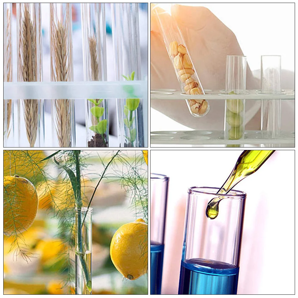 

15pcs Glass Test Tubes Wood Cork Stopper Round Bottom Clear Lab Vials For Chemical Storage Research Propagation Experiments