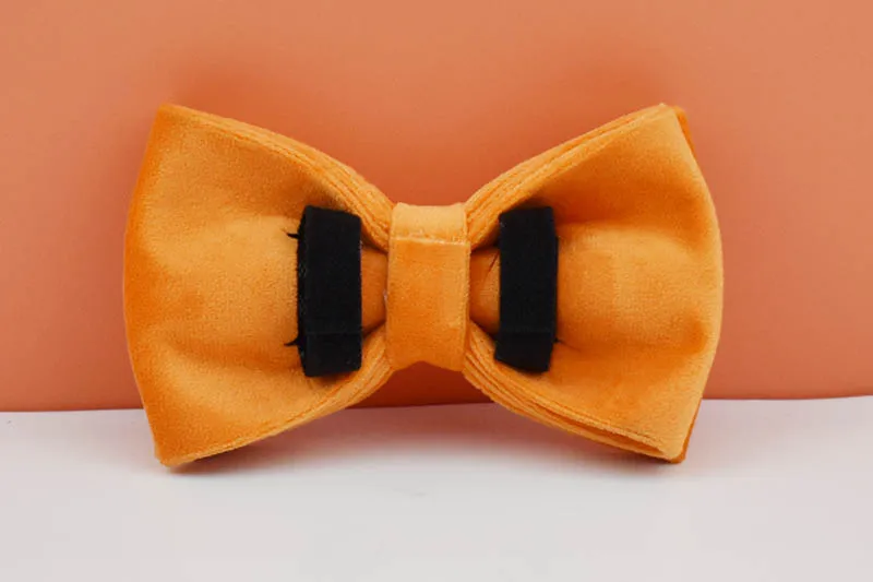 Orange Samt-Hundehalsband und Leinen-Set für Hunde, individuell graviertes Namensschild, Heimtierbedarf, Hundeleine aus Samt 41 – Detail 10