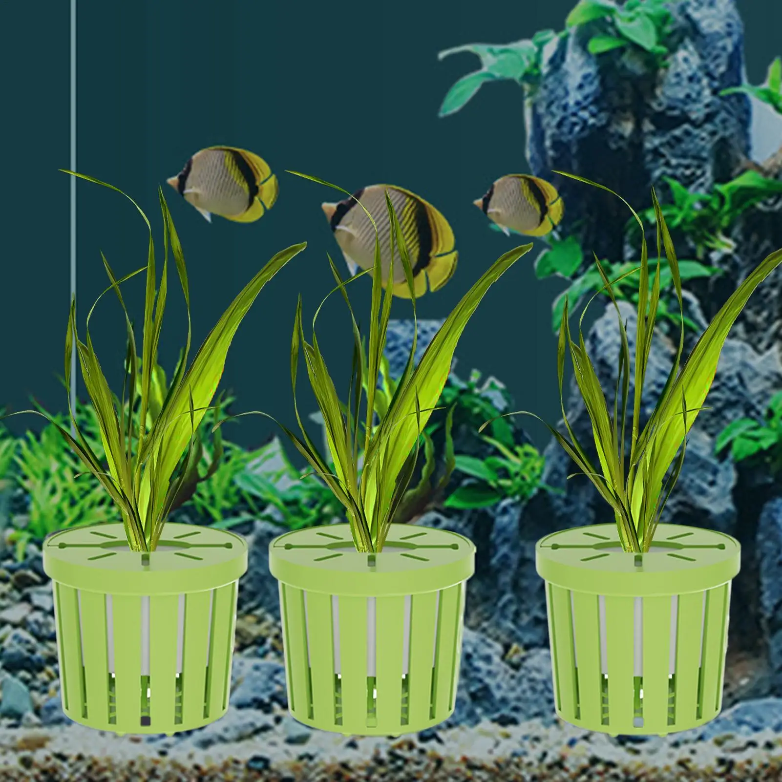 4 Stück Aquarium-Pflanzentöpfe mit Schwamm-Saugnäpfen für Zuhause, Fischbecken, Pflanzentöpfe, Halter für Betta-Garnelen, Süßwasser