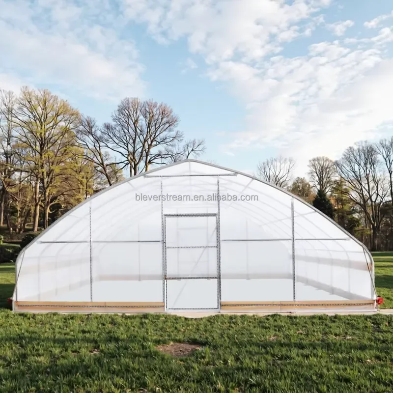 25x25ft 7.6x7.8m Modern Galvanized Steel Greenhouse Metal Frame Easily Assembled Backyard Outdoor Garden Polythene Plant