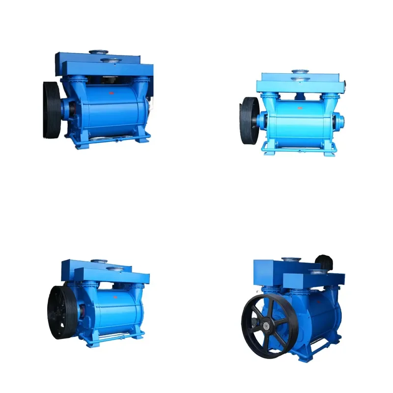 2BE Series 2BEC42 Liquid Ring Vacuum Pumps and Compressors Horizontal Air Vacuum Pumping Units for Industrial Applications