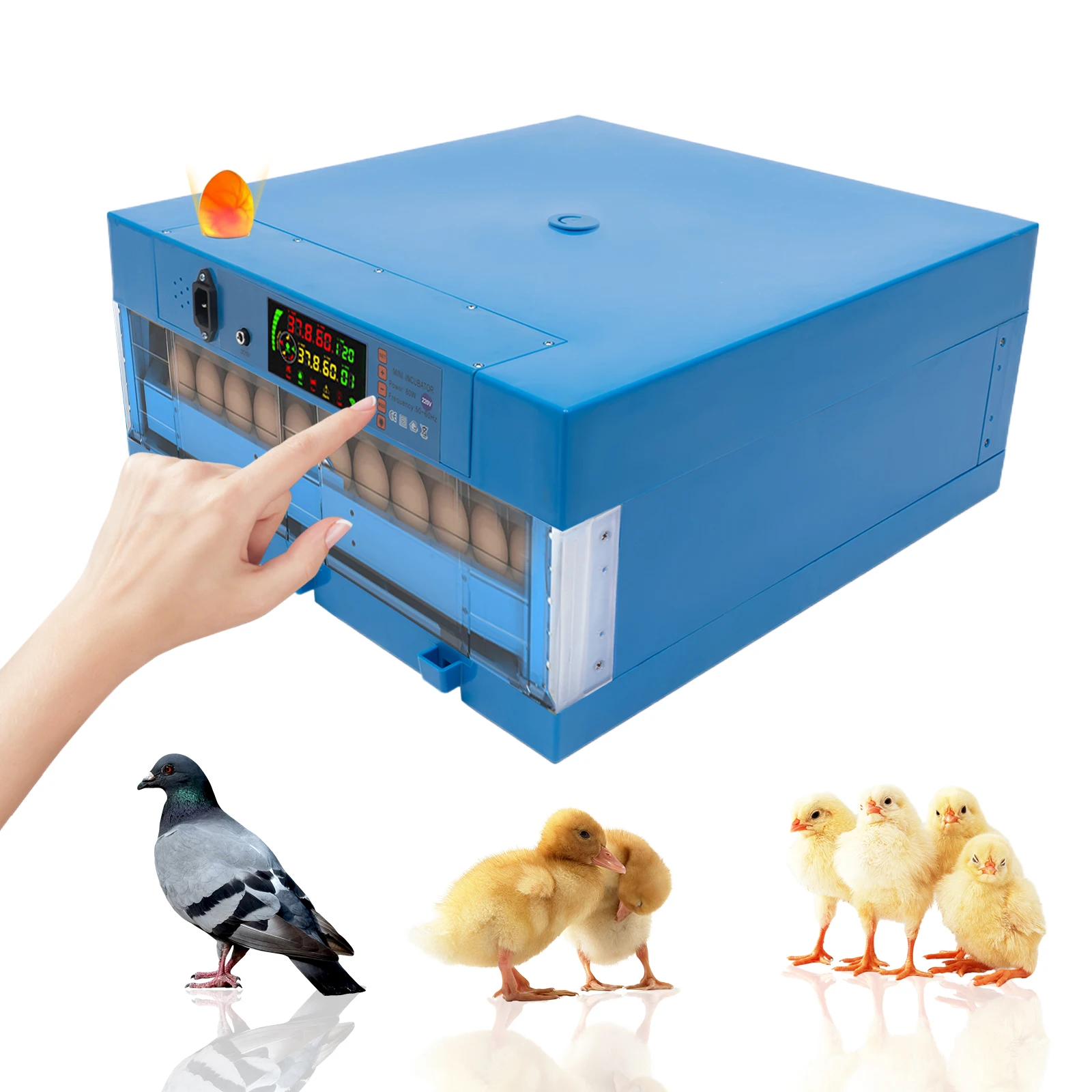 64 Eggs Incubator, Home Smart Incubator Kit with Temperature & Humidity Control, Automatic Egg Turning