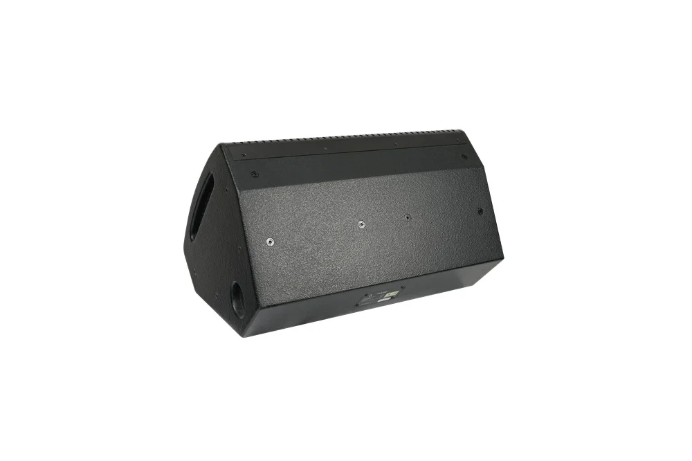 Two-Way Stage Speaker With 12 Inch Woofer And DSP Optimization