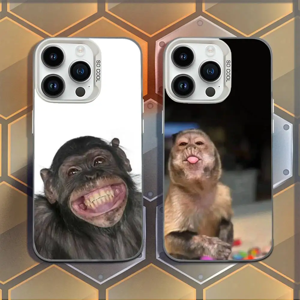 

Funny Monkey Silicone Phone Case For iPhone 16,15,14,13,12,11,Mini,Pro,E,MAX White Candy Matte Shockproof Cover