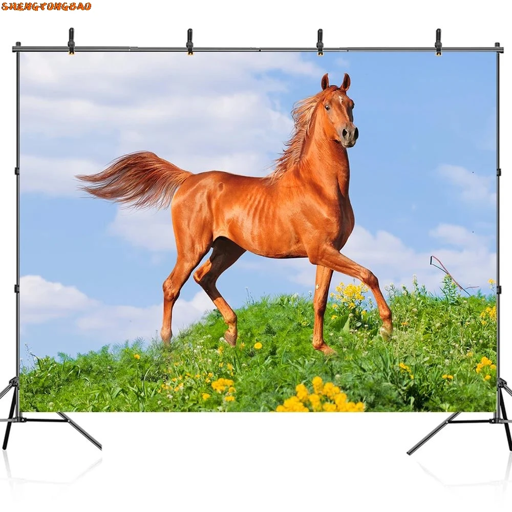 خلفية التصوير الفوتوغرافي المراعي السماء الزرقاء غائم تشغيل الحصان الأطفال التصوير الفوتوغرافي خلفية فوتوزون لاستوديو الصور