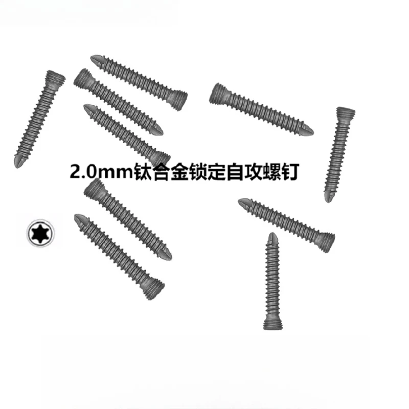 2.0mm Stardrive Locking Screws Stainless Steel | Self-tapping Bone Screws for Pet Fixation 10Pcs