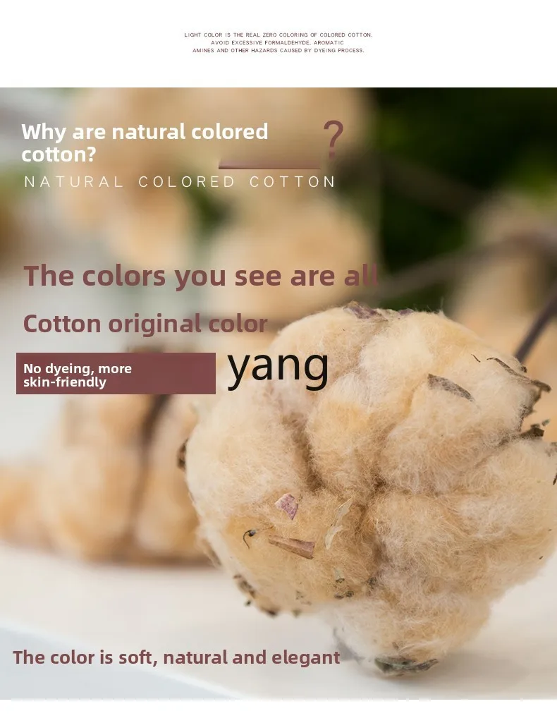 LMM men's and women's medium tube socks cotton winter socks warm and breathable colored cotton terry socks