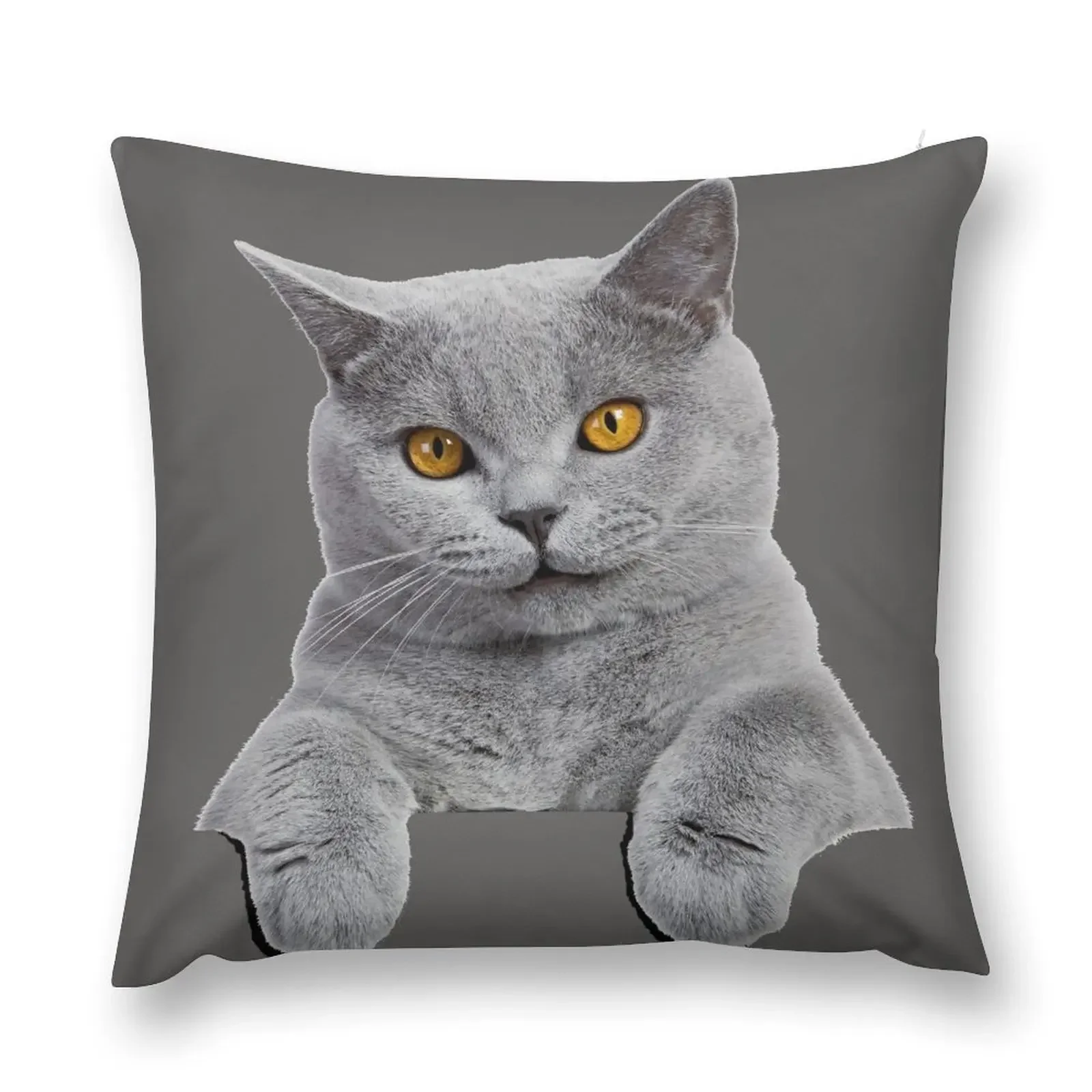 British Shorthair Cat Throw Pillow autumn decoration Pillow Cover Sofa Covers luxury sofa pillows pillow