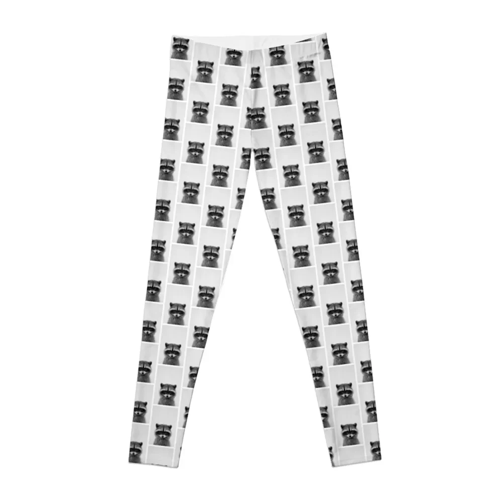 

raccoon headshot Leggings gym pants sport legging Sportswear woman gym Womens Leggings