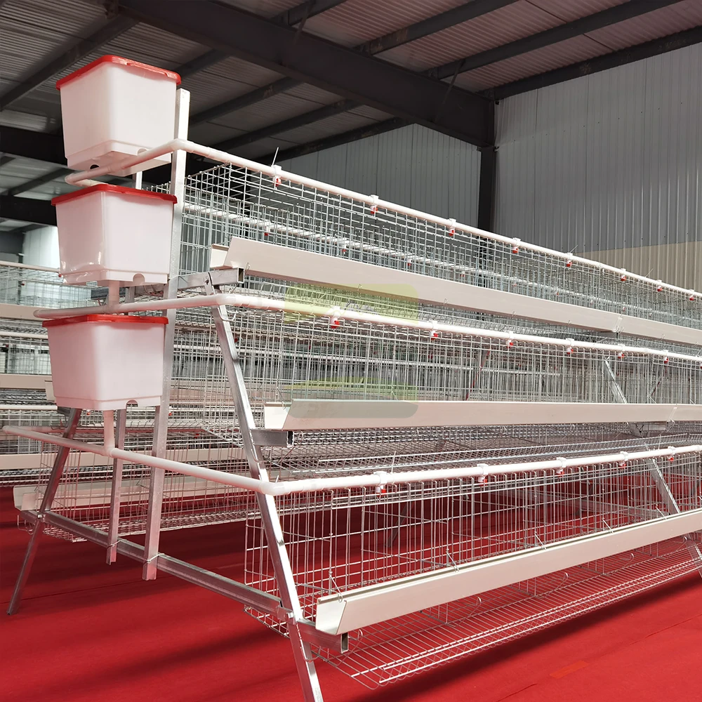 

For Hot Dipped Galvanized Q235 Steel Wire Layer Cage Poultry Farming Equipment JH-JL Model Long Service Life