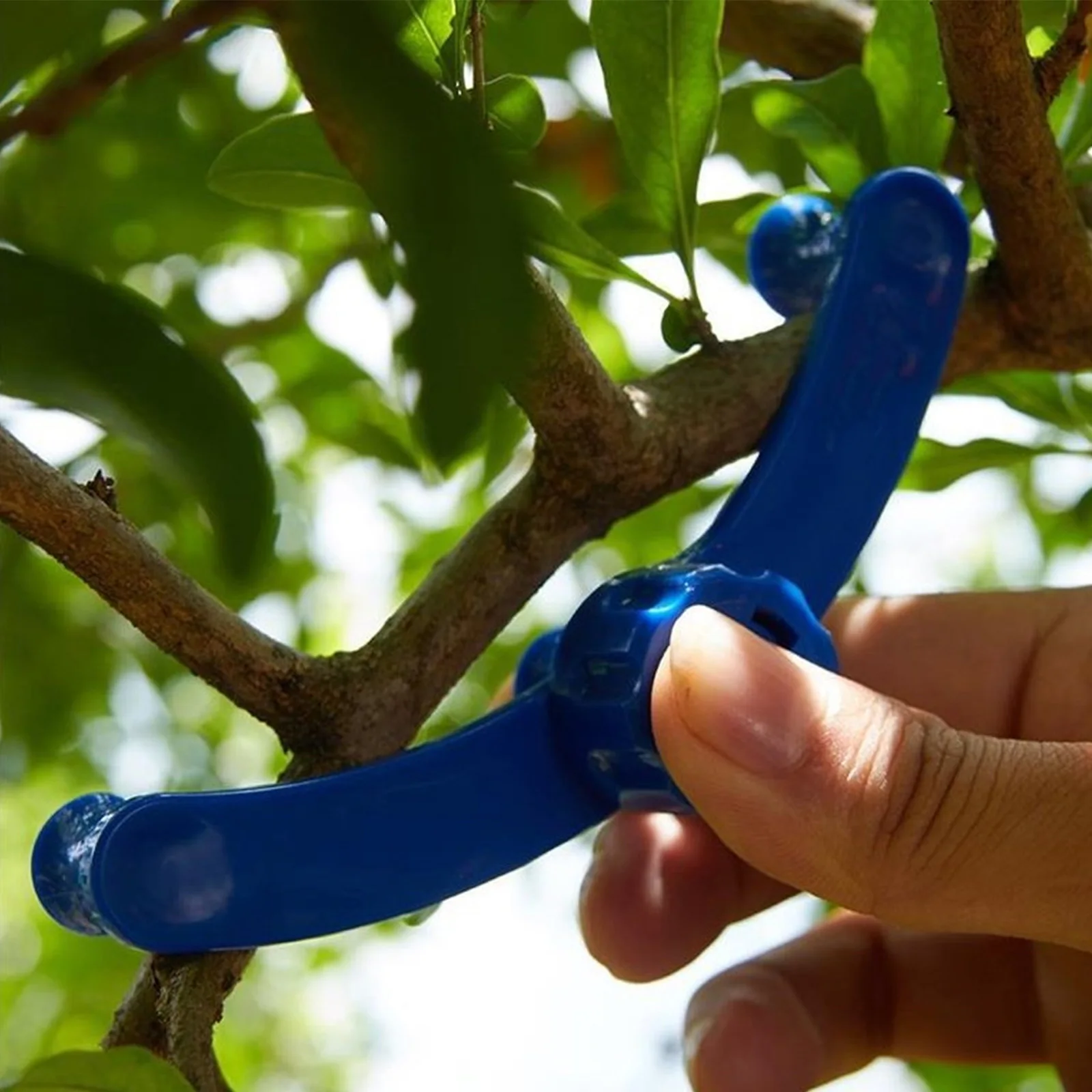 

5 Pcs Branch Fixer Plant Clips Durable Plastic Tree Bender Stem Modeling Fruit Training Gardening SuppliesTwig Bender Adjustable