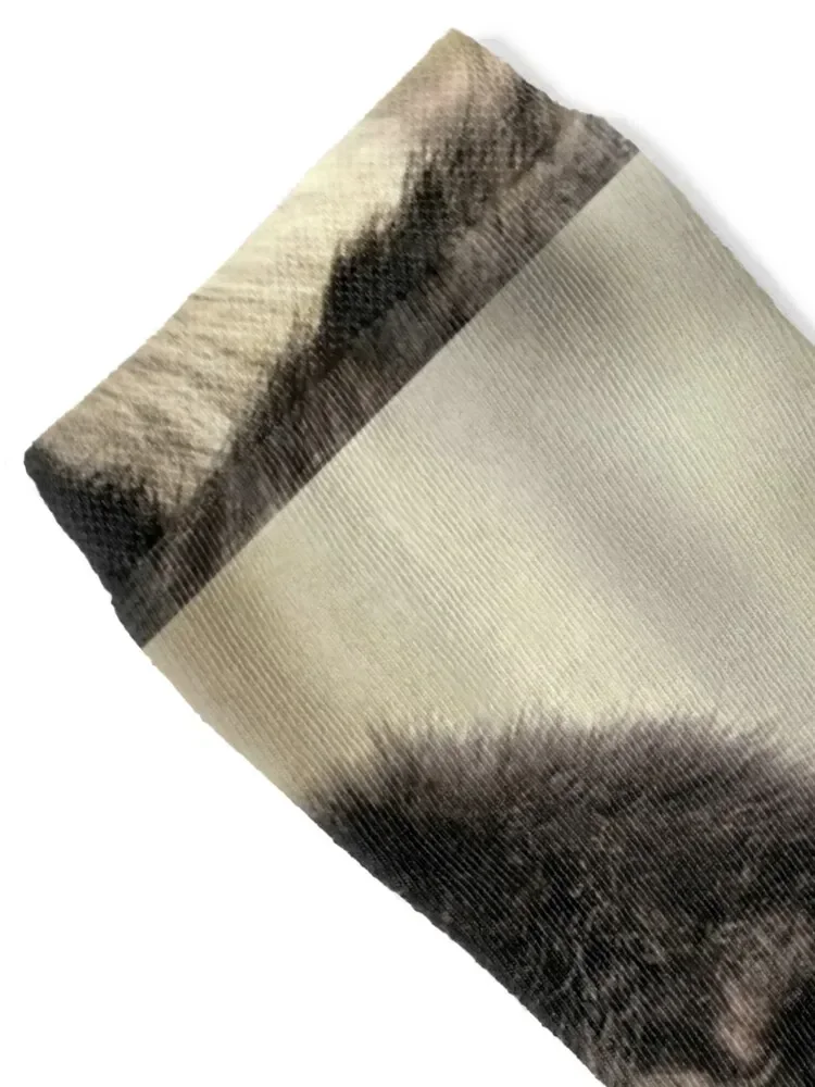 Spider Monkey Socks kids cycling hockey bright garter Men Socks Luxury Brand Women's