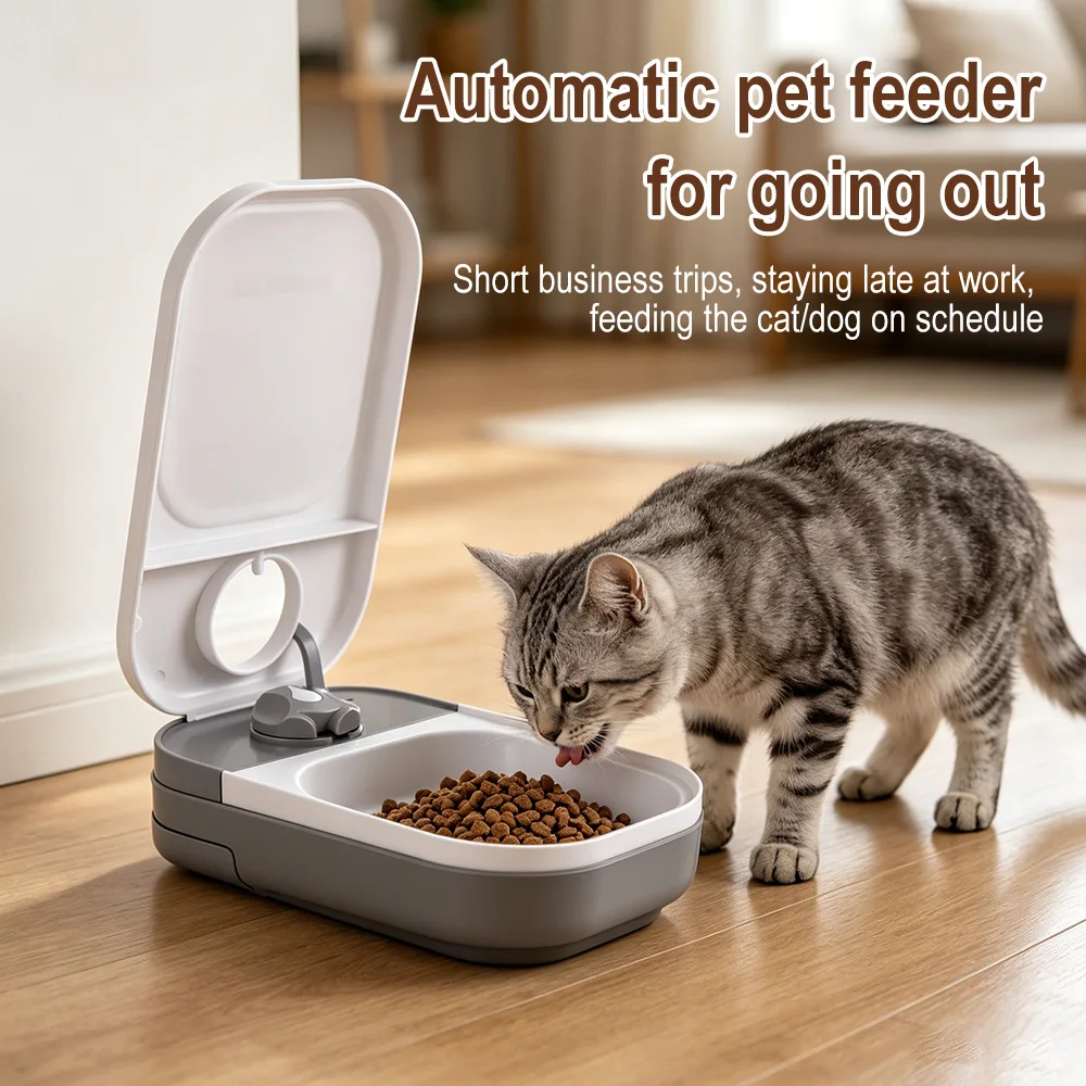 #9 Ranked Automatic Puppy Feeders Picks in 2026