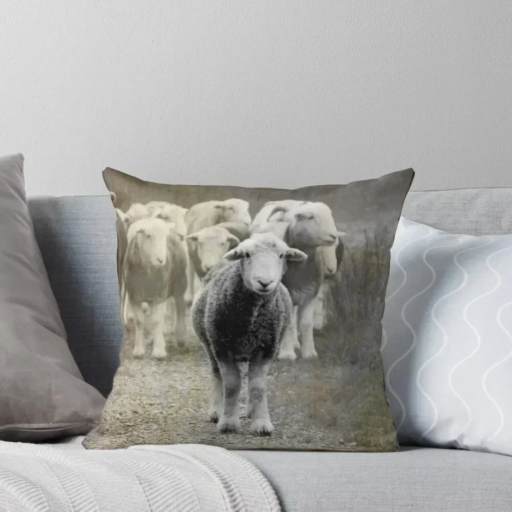 

H E R D W I C K Throw Pillow Decorative Cushion Anime Cushion Cover For Sofa pillows decor home pillow