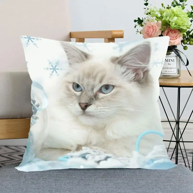 DecoracióN Del Hoga… - image