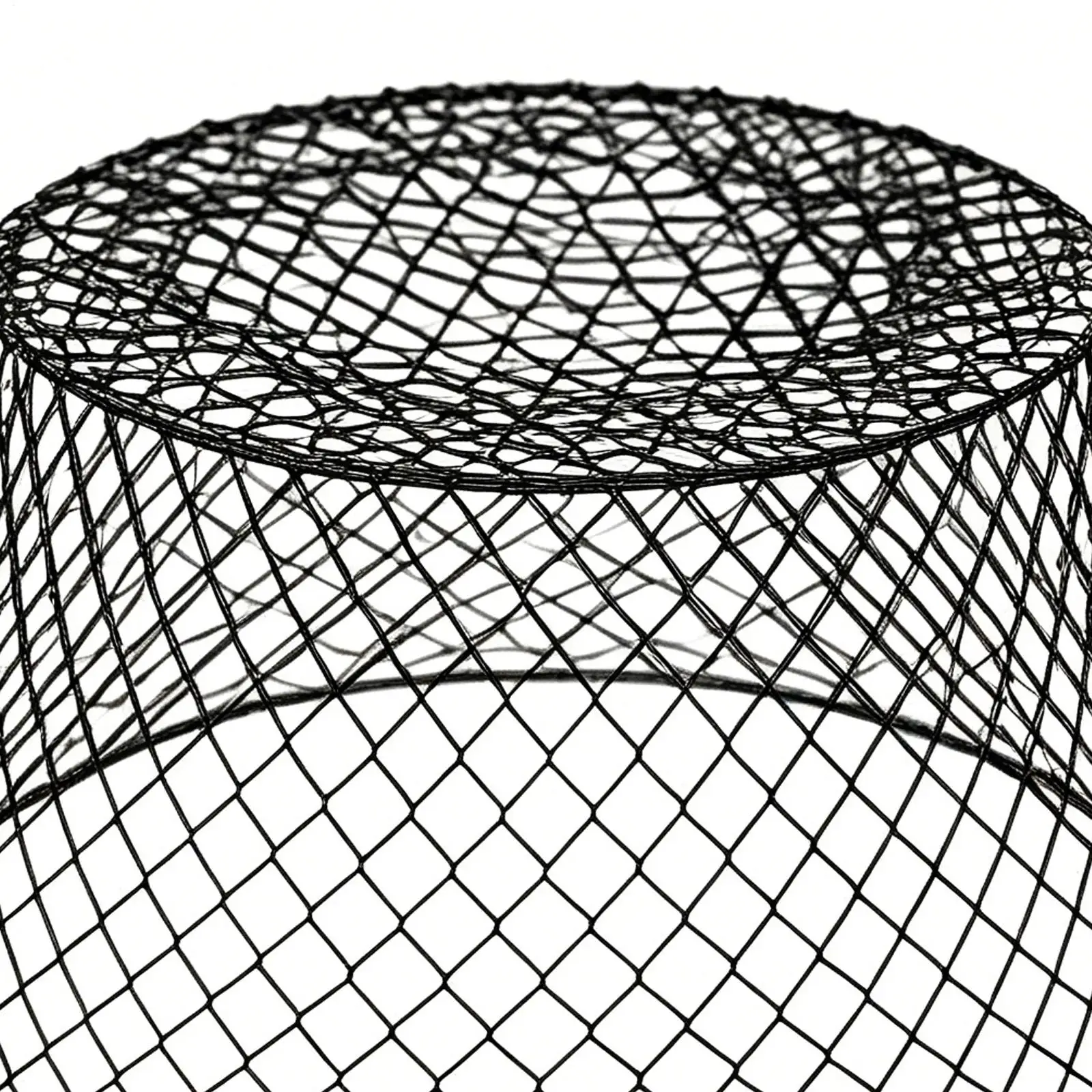 Garden Cloche 10 Piece Net Guard Rust Resistant Plant Cloches Outdoor For Vegetable Birds Shrubs Fruit Outdoor Patio Lawn