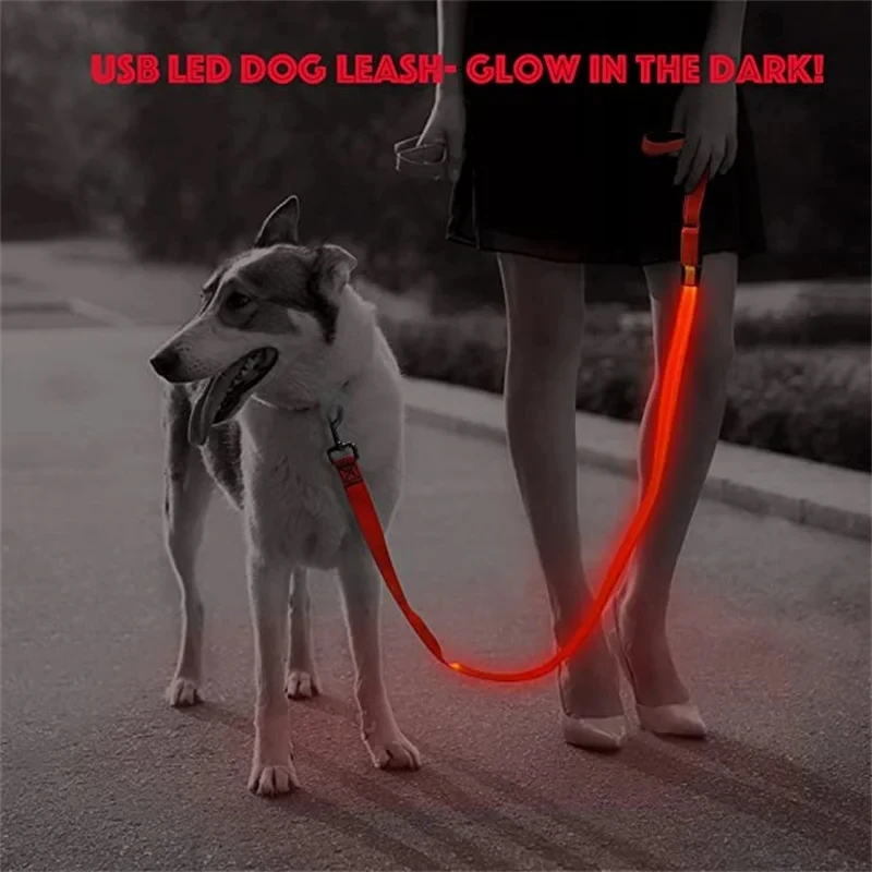 Led Haustier Hund Leine Seil Mit Licht Leuchtende Leine USB Lade für Hund Sicherheit Blinkende Leuchtende Kragen Harness Zubehör – Detail 6