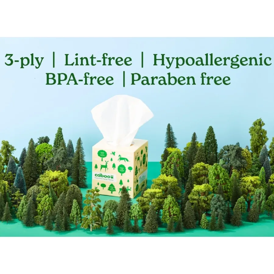 ツリーフリー フェイシャルティッシュペーパー ティッシュボックス 1キューブあたり60枚入り 合計6キューブ 計600枚 エコフレンドリーな家庭用および旅行用