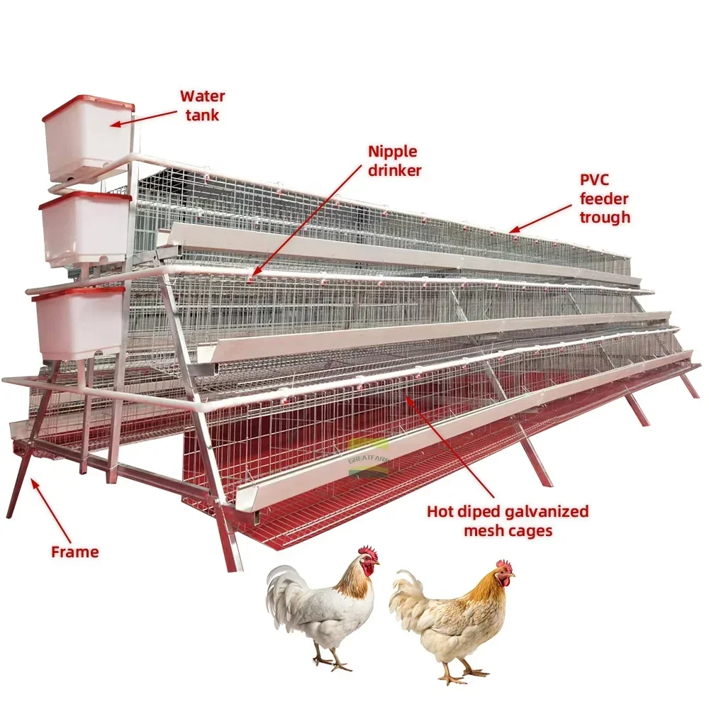 A-Type Hot Dipped Galvanised Fully Automatic H Type Chicken Cages System for Layer Chicken