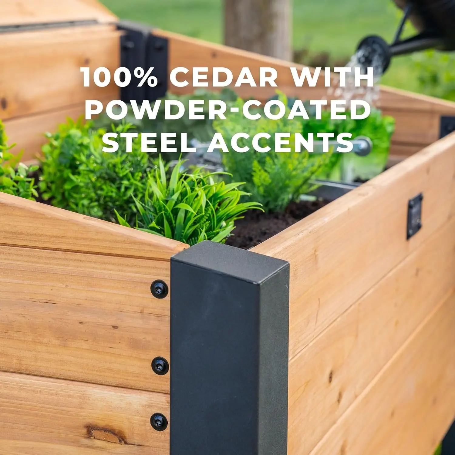 Aggie 4' x 2' Cedar Wood Cold Frame Portable Mini Greenhouse, Raised Garden Planter with Temperature-Activated Polycarbonate Lid