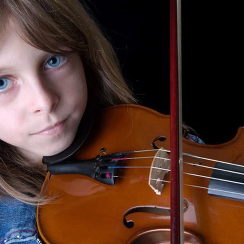 Imagen 2 del producto Arco de violín, reproductor de violín, accesorios de violín para estudiantes, adecuados para tiendas de violín, principiantes, escuelas musicales, instrumentos musicales