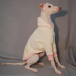 Włoska bluza Greyhound z kapturem biała kolorowa pluszowe ubrania do psa Whippet Bichon Bellington bezwłosy pies