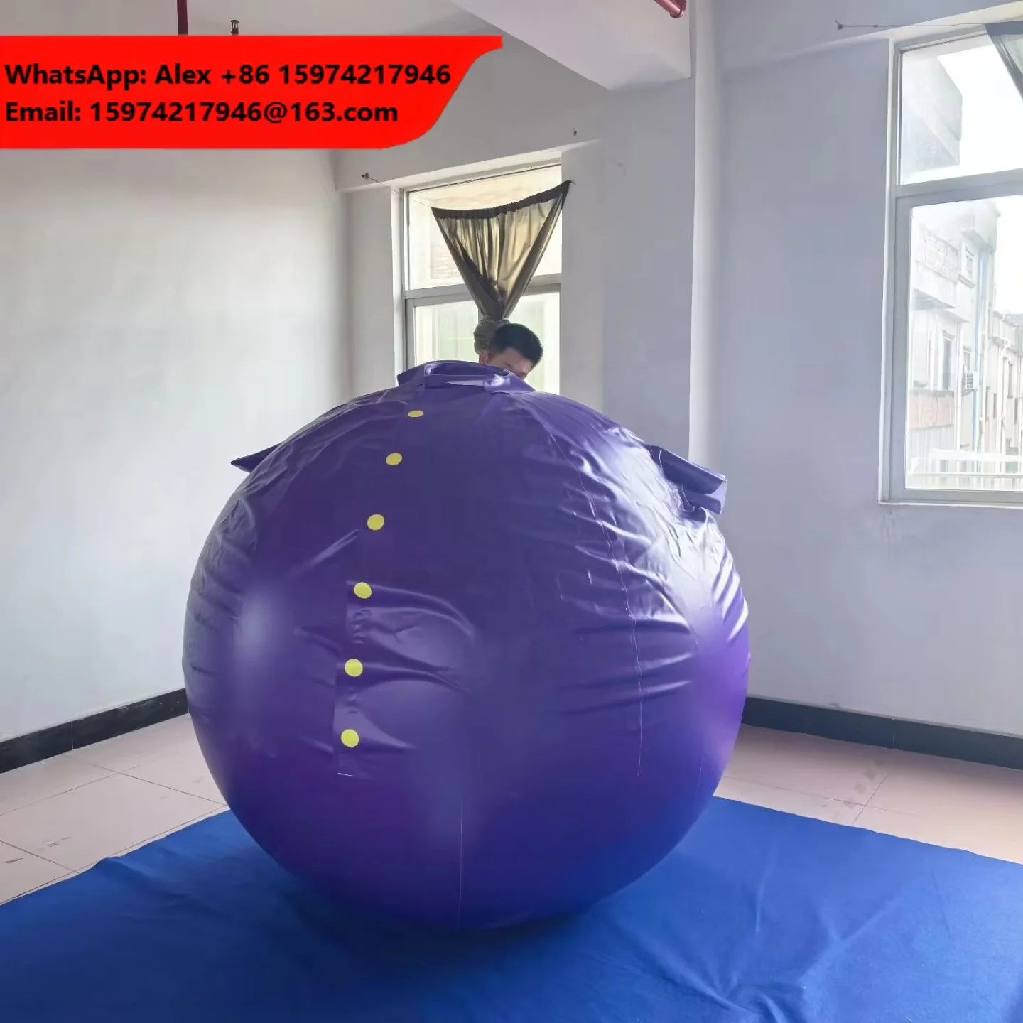 Beile High Quality PVC Inflatable Blueberry Body Suit, 160-175cm Size After Inflation For Outdoor Party