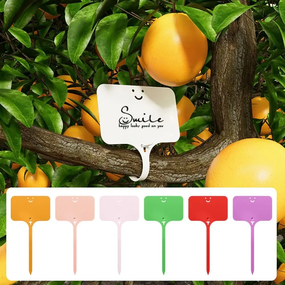 100Pcs T-type Sign Tags Garden Plant Labels Colorful Garden Decoration Name Tag Plastic Waterproof Plastic Marker Tags
