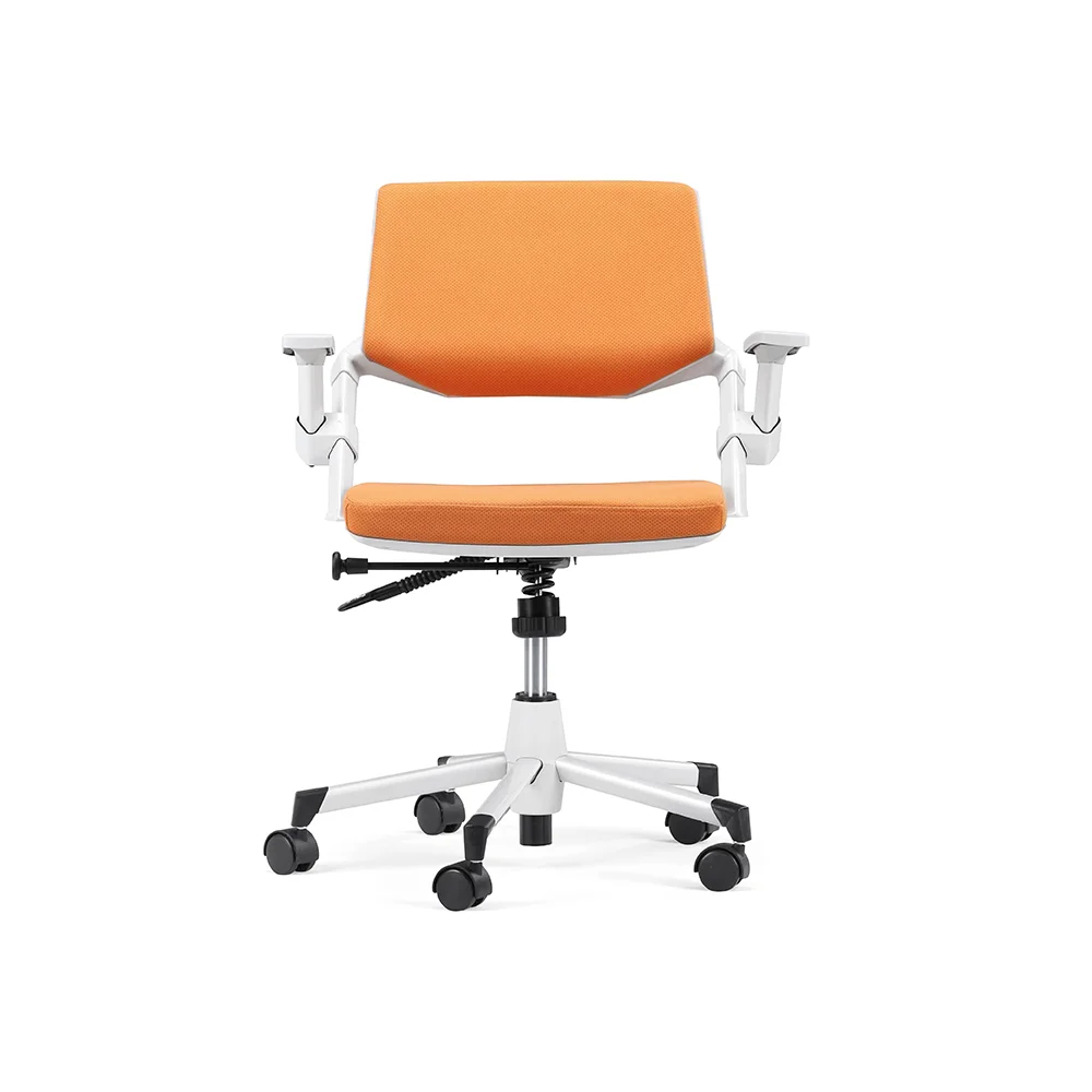 School Student Office Project Fabric Back And Chair Office Chair Ergonomic Office Chair