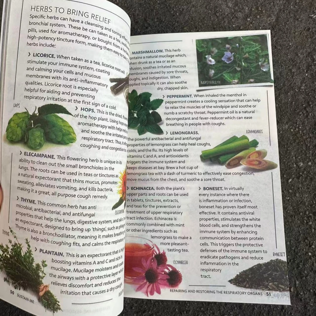 2026 Sustain Me Book by Barbara ONeill Inspirational Guide to Enhancing Life Self Motivation And Psychological Adjustment - Image 5