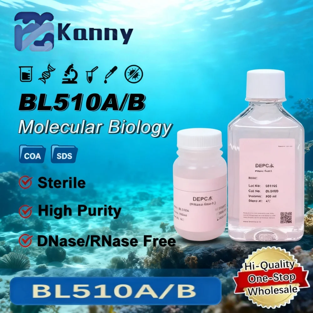 DNase RNase Free Enzyme-Free Lab Water BL510A/B – RNA Reverse Transcription & siRNA Annealing