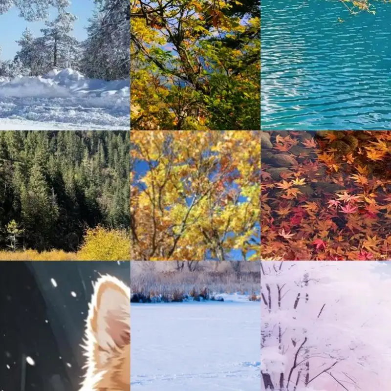 M42 Screw Mount Len…