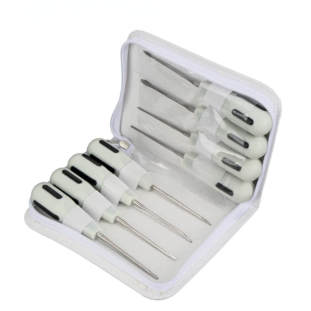 

8pcs/Set Stainless Steel Dentals Luxating Lift Curved Root Elevator Dentistrys Surgical Screwdriver