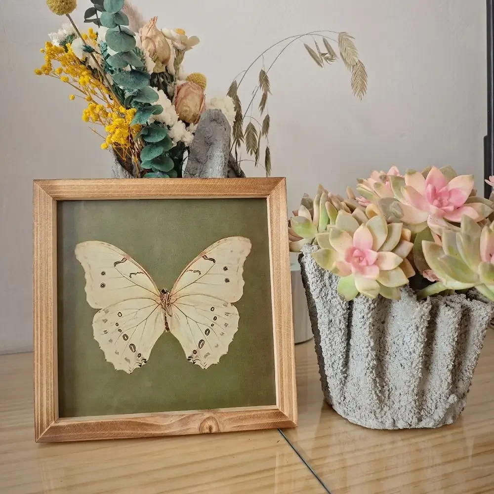 

Crafts Vintage Butterfly Specimen Photo Frame Personalized Simple Picture Frame Modern Creative DIY Display Frame Posters