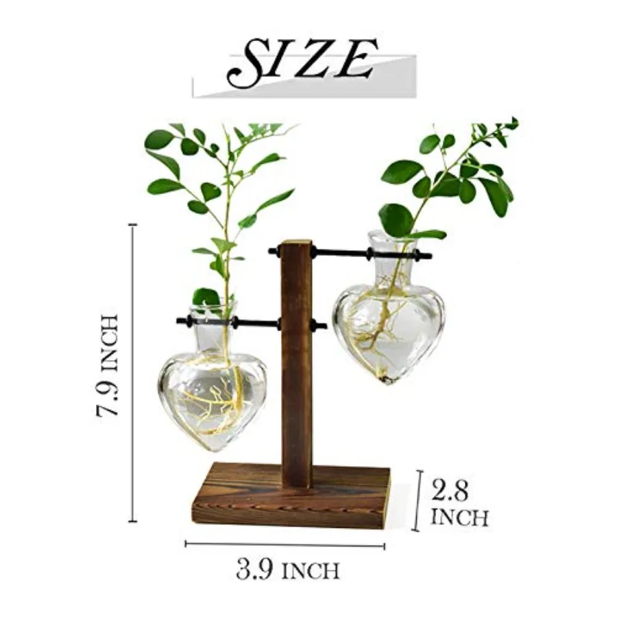 Plant Terrarium Wooden Stand Hydroponic Planter Bulb Glass Metal Swivel Holder Retro Air Plants Water Plants for Home Office Dr