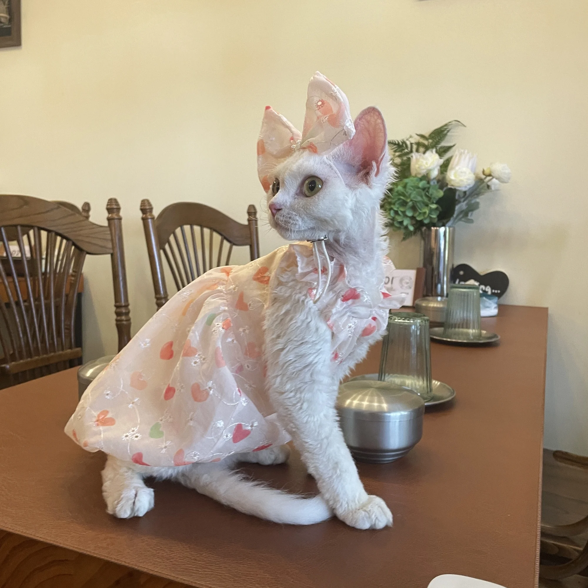 Summer Double-sided Princess Dress with Soft Cotton Inside for Sphynx Cat Breathable Sweet Pink Skirt Bow Tiara for Female Cat
