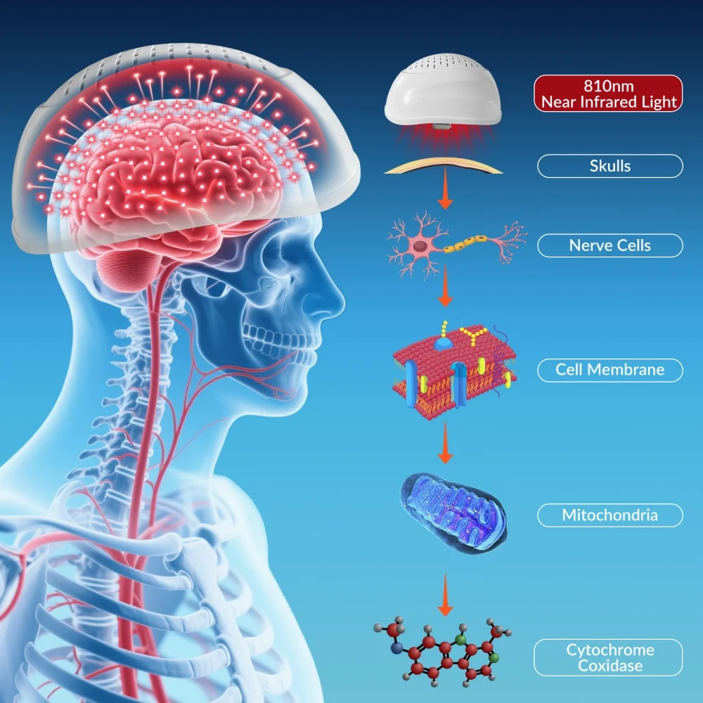 Professional PBM Therapy Device 448 Diodes Brain Stimulation Helmet 810nm NIR Light Parkinson Stroke Recovery Memory Improvement